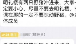 大皖新闻爆料地址在哪里,揭秘事件背后神秘地址