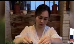 小六爆料村长视频,小六爆料背后的真相与争议